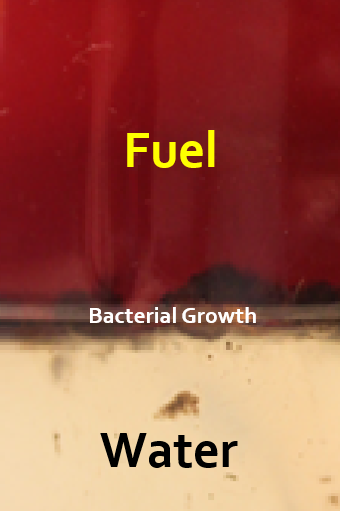 Fuel and Water Separation with Bacterial Growth Zone