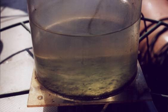 Contaminated Fuel